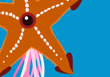 starfish squid